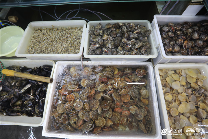 青島 休漁期水產品批發市場貨源充足，品類豐富價格穩